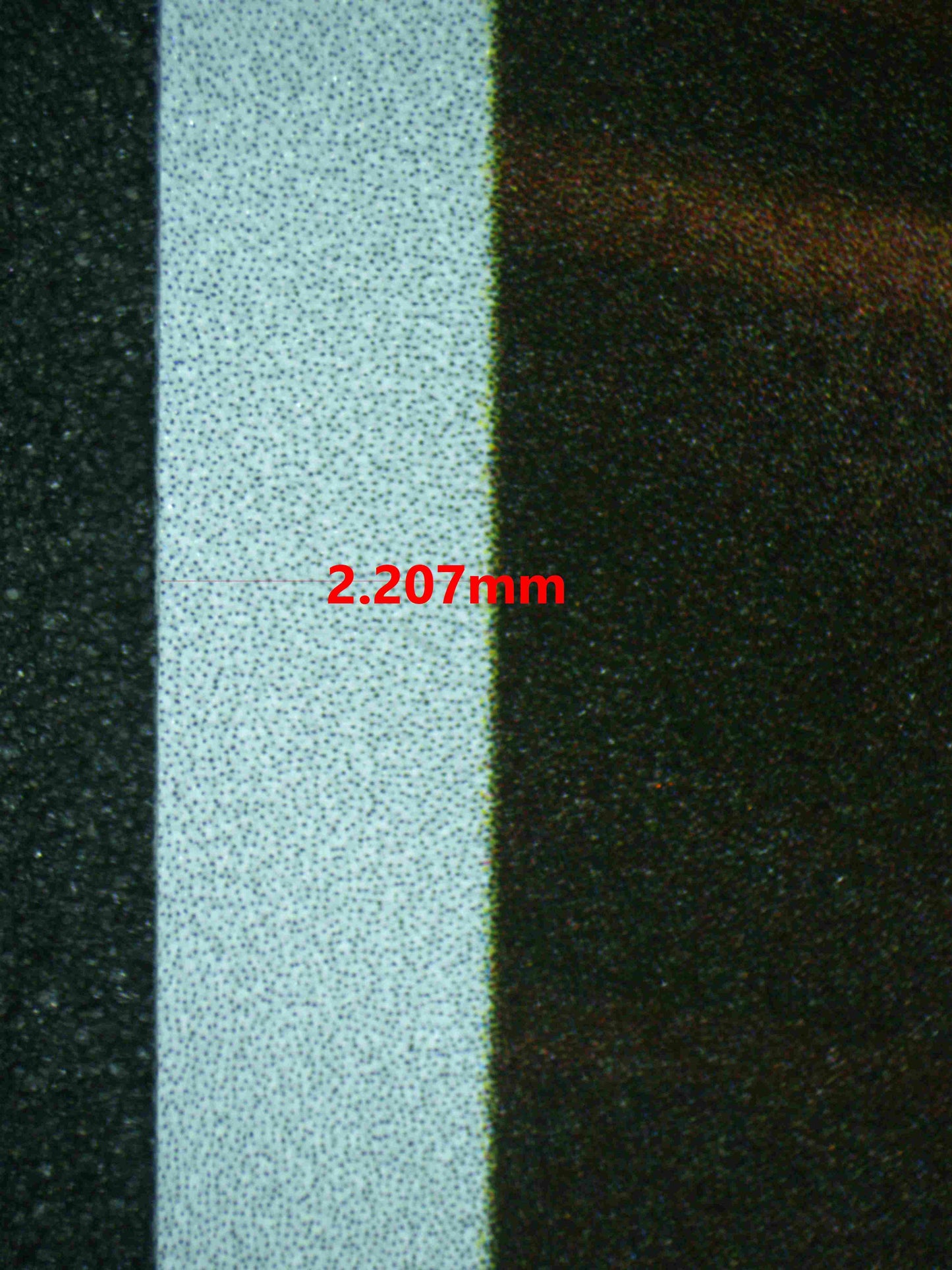 06343 CHARMANDER Grading Card