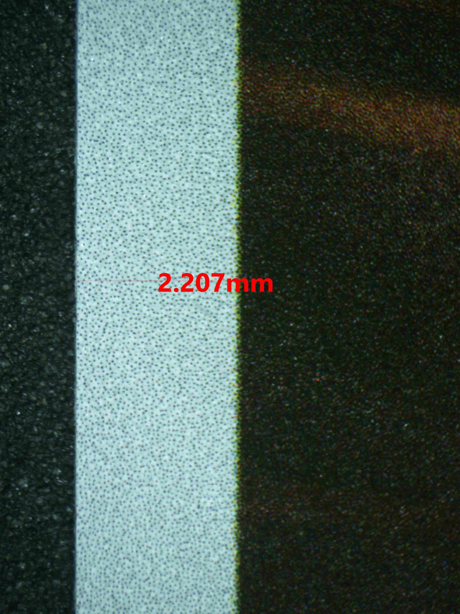 06343 CHARMANDER Grading Card