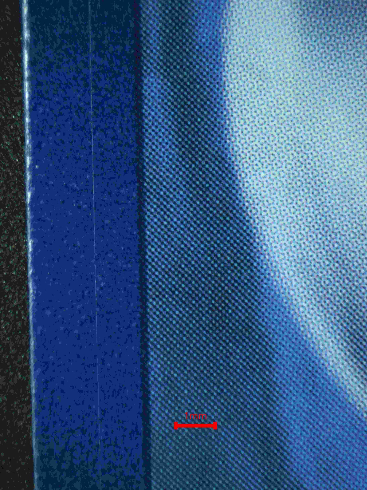 06344 CHARMELEON Grading Card