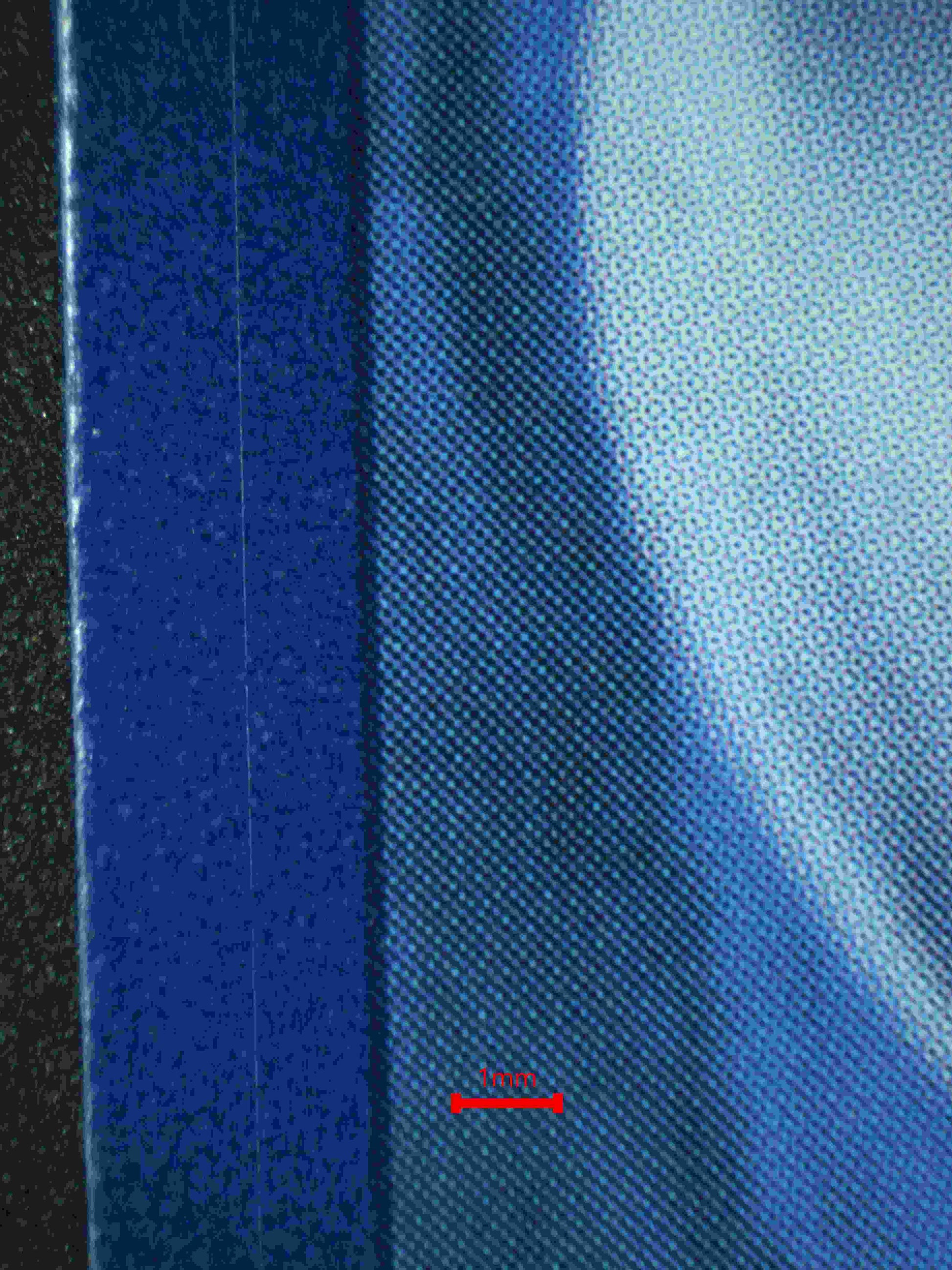 06344 CHARMELEON Grading Card