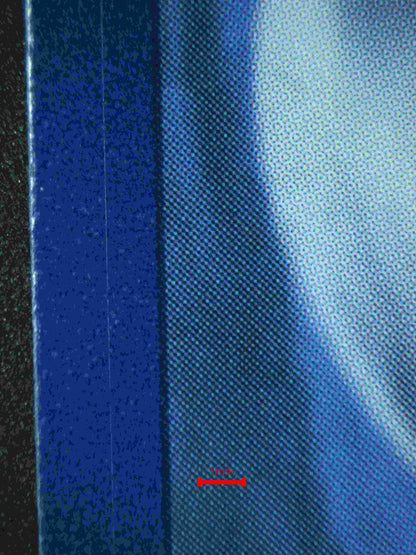 06344 CHARMELEON Grading Card