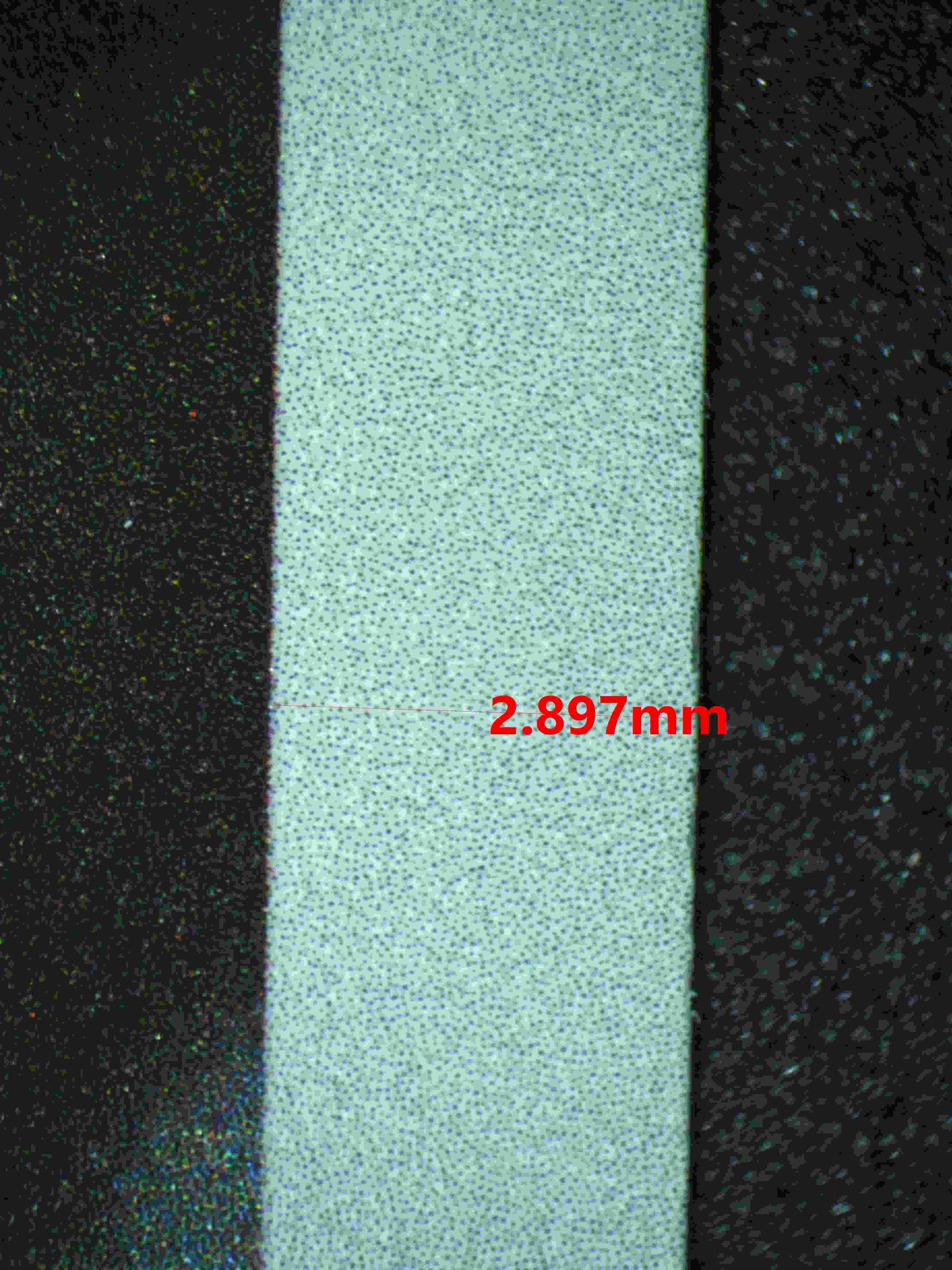 06344 CHARMELEON Grading Card