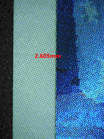 06355 DETECTIVE PIKACHU (JAPANESE) Grading Card