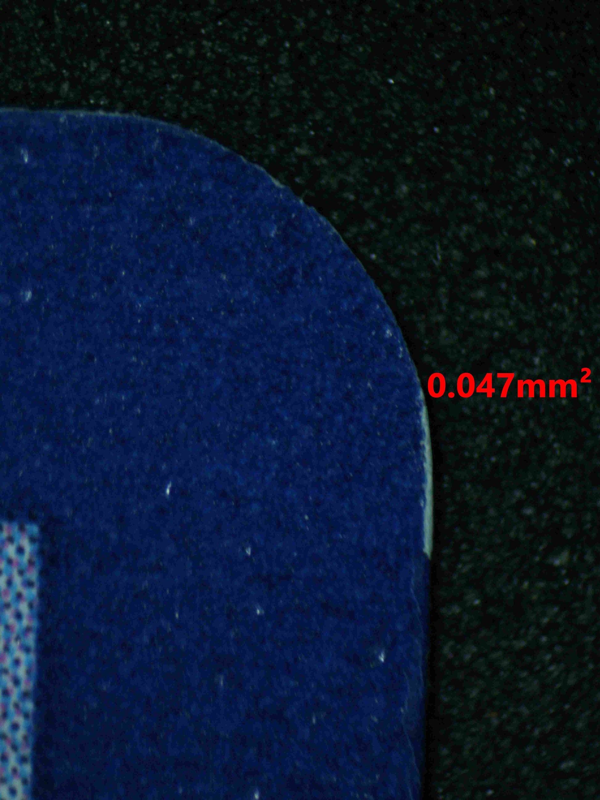 06356 CHARMANDER Grading Card