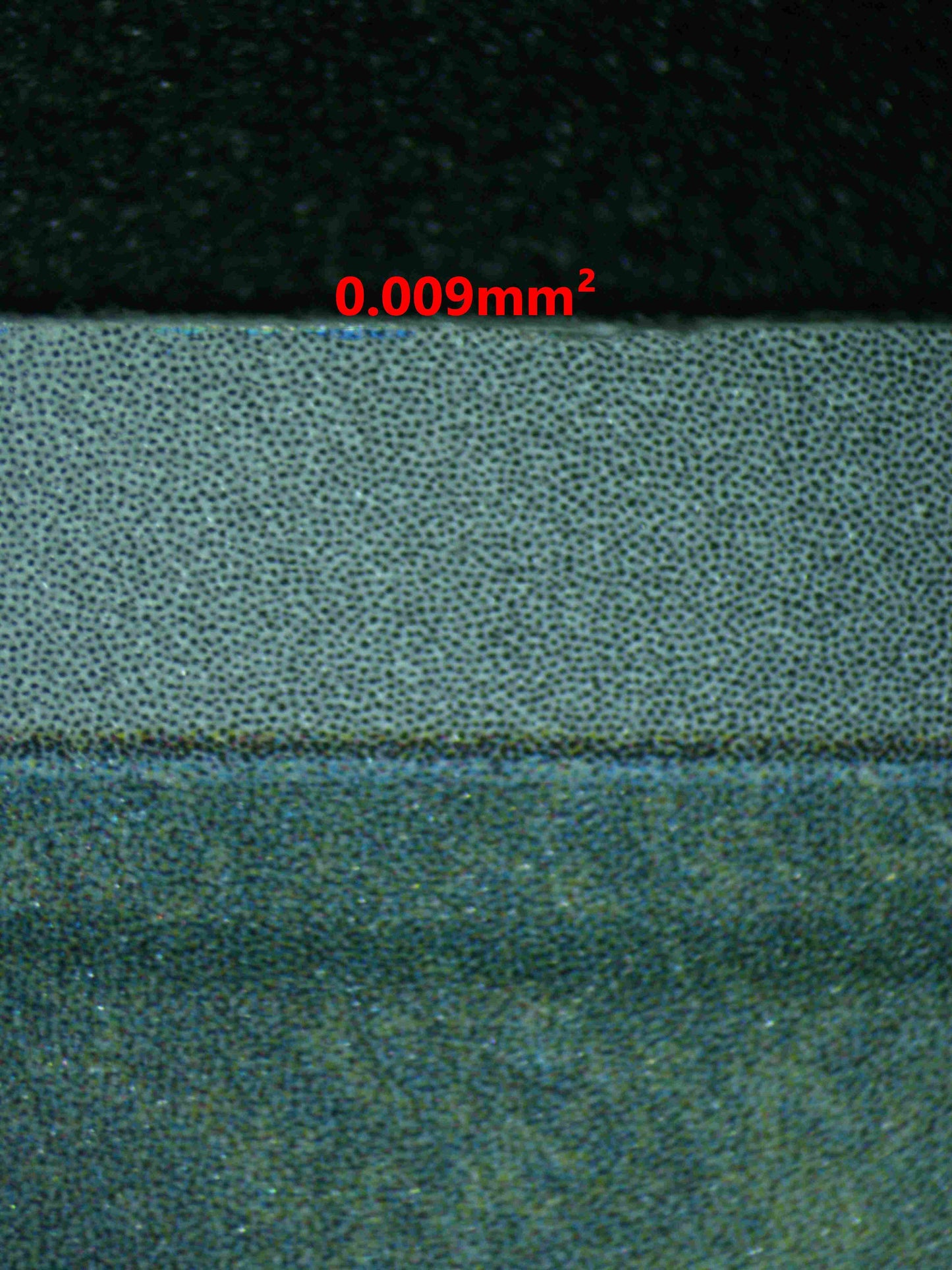 06356 CHARMANDER Grading Card