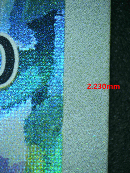 06356 CHARMANDER Grading Card