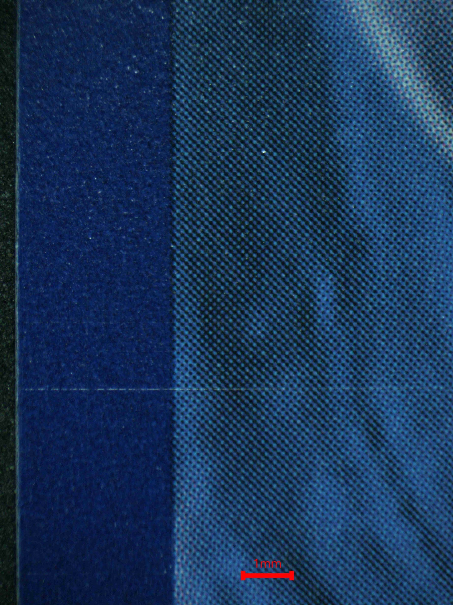 06357 MEW Grading Card