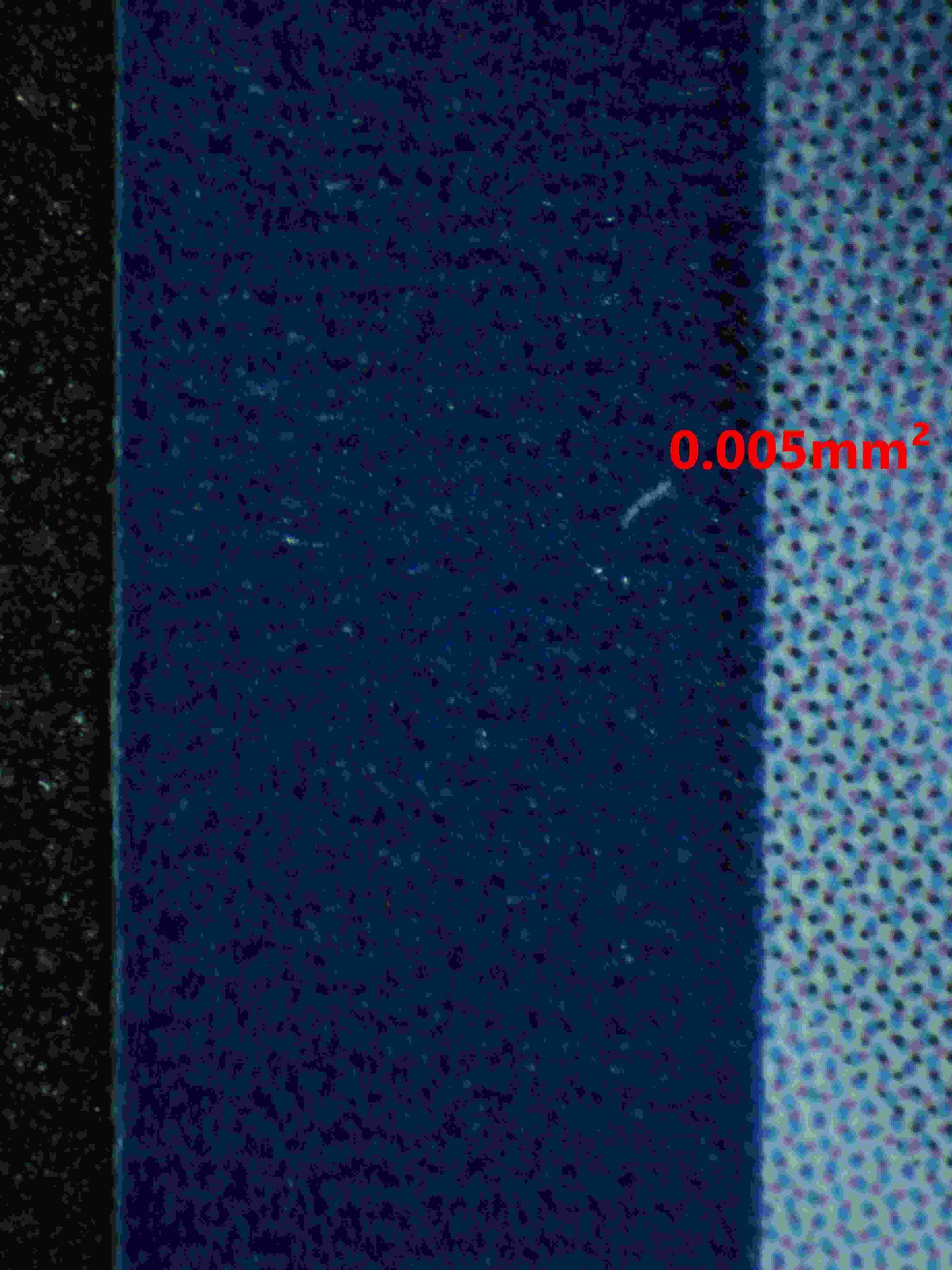 06358 MEW EX Grading Card