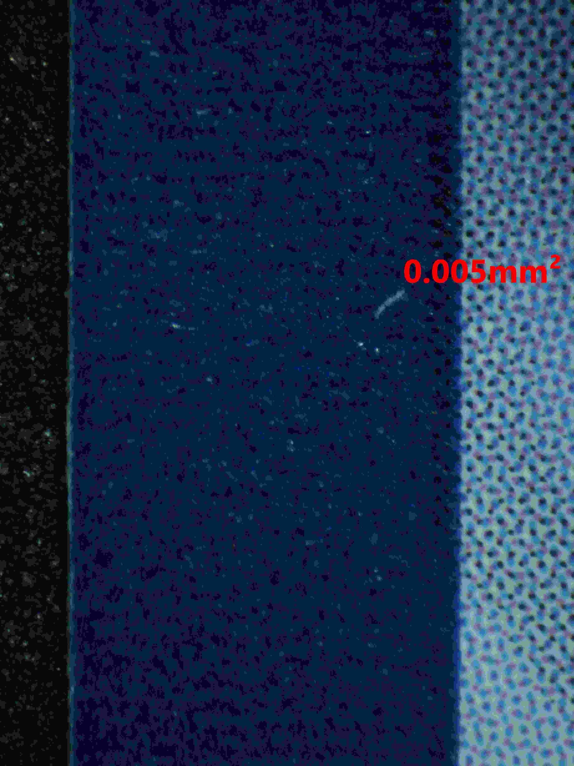 06358 MEW EX Grading Card