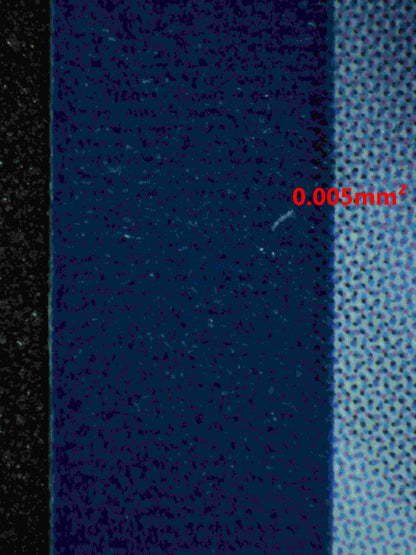 06358 MEW EX Grading Card