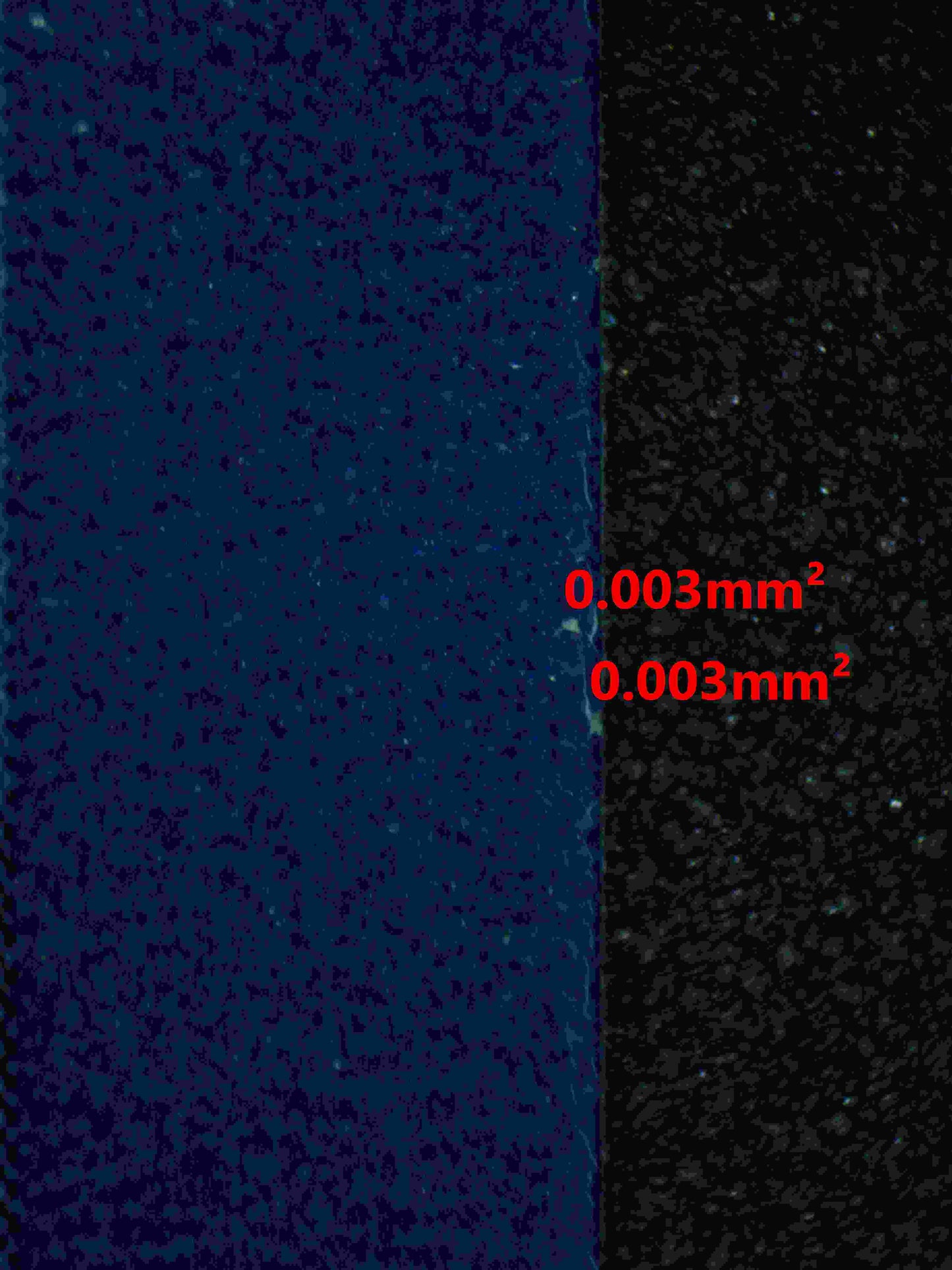 06358 MEW EX Grading Card