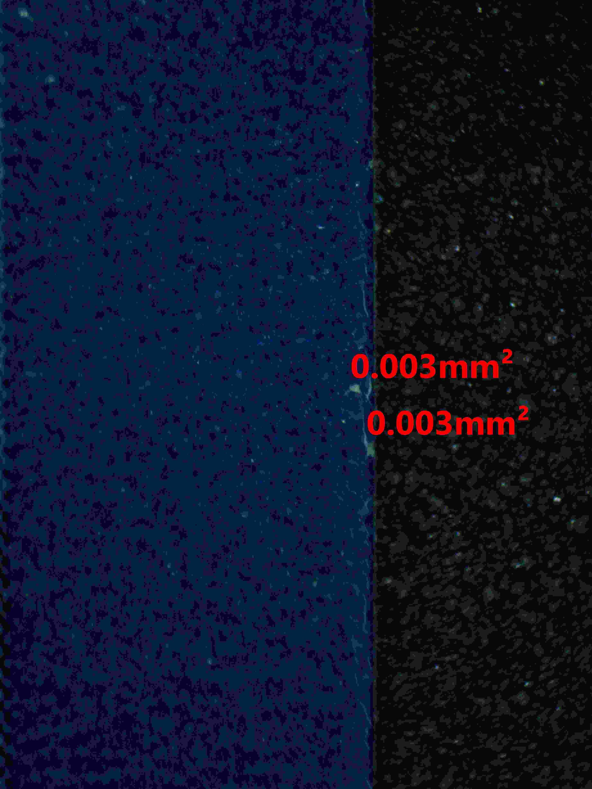 06358 MEW EX Grading Card