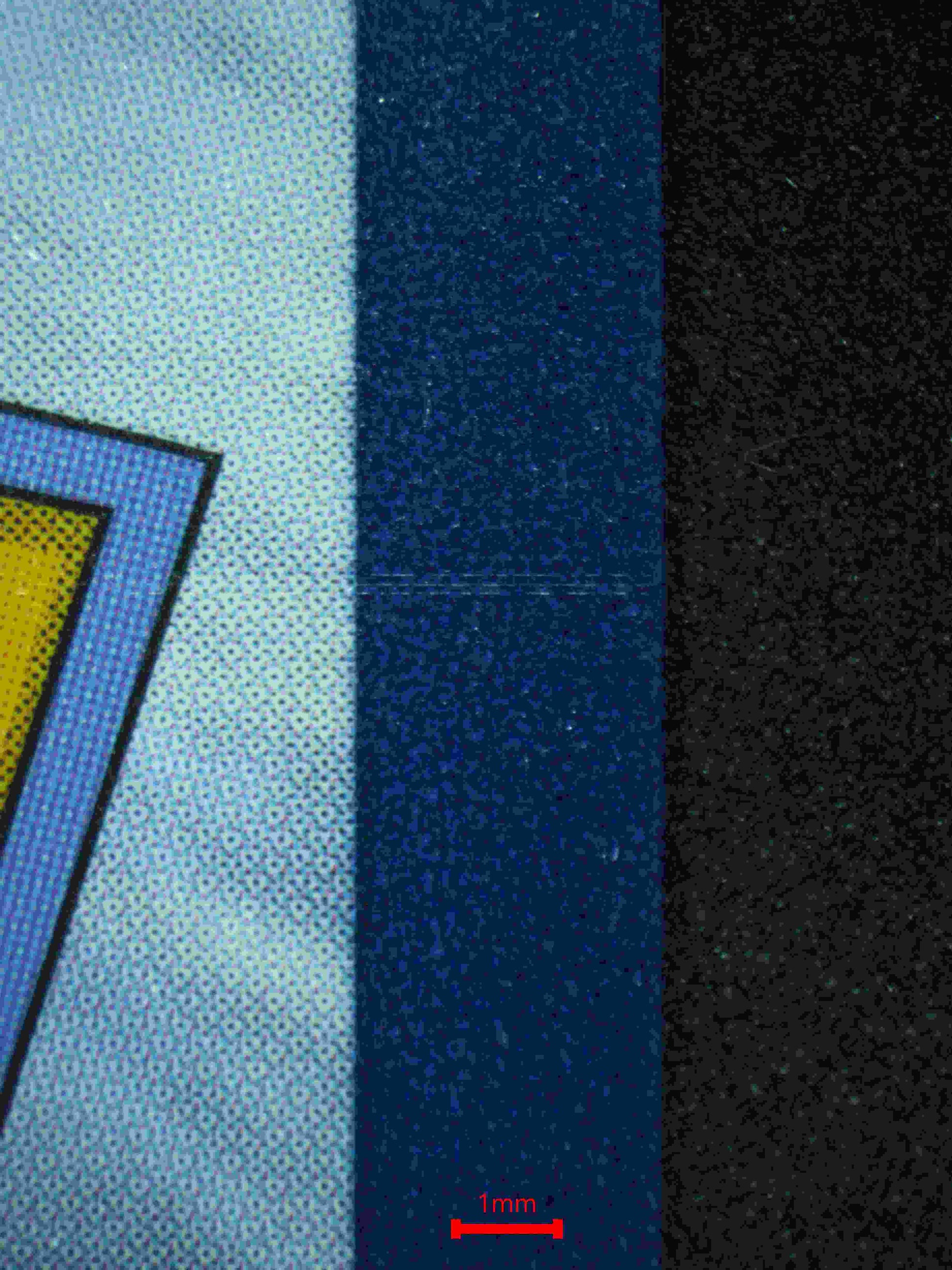 06363 RAIKOU V Grading Card