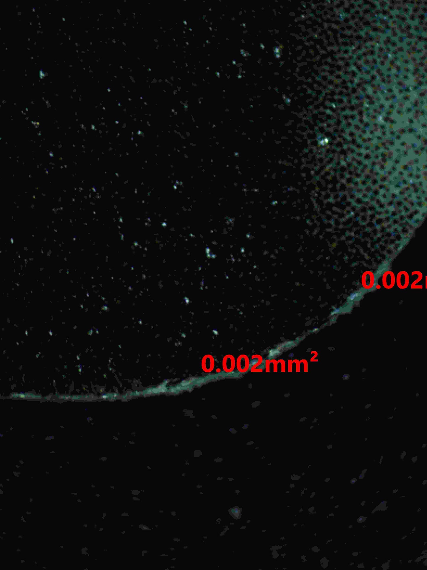 06363 RAIKOU V Grading Card