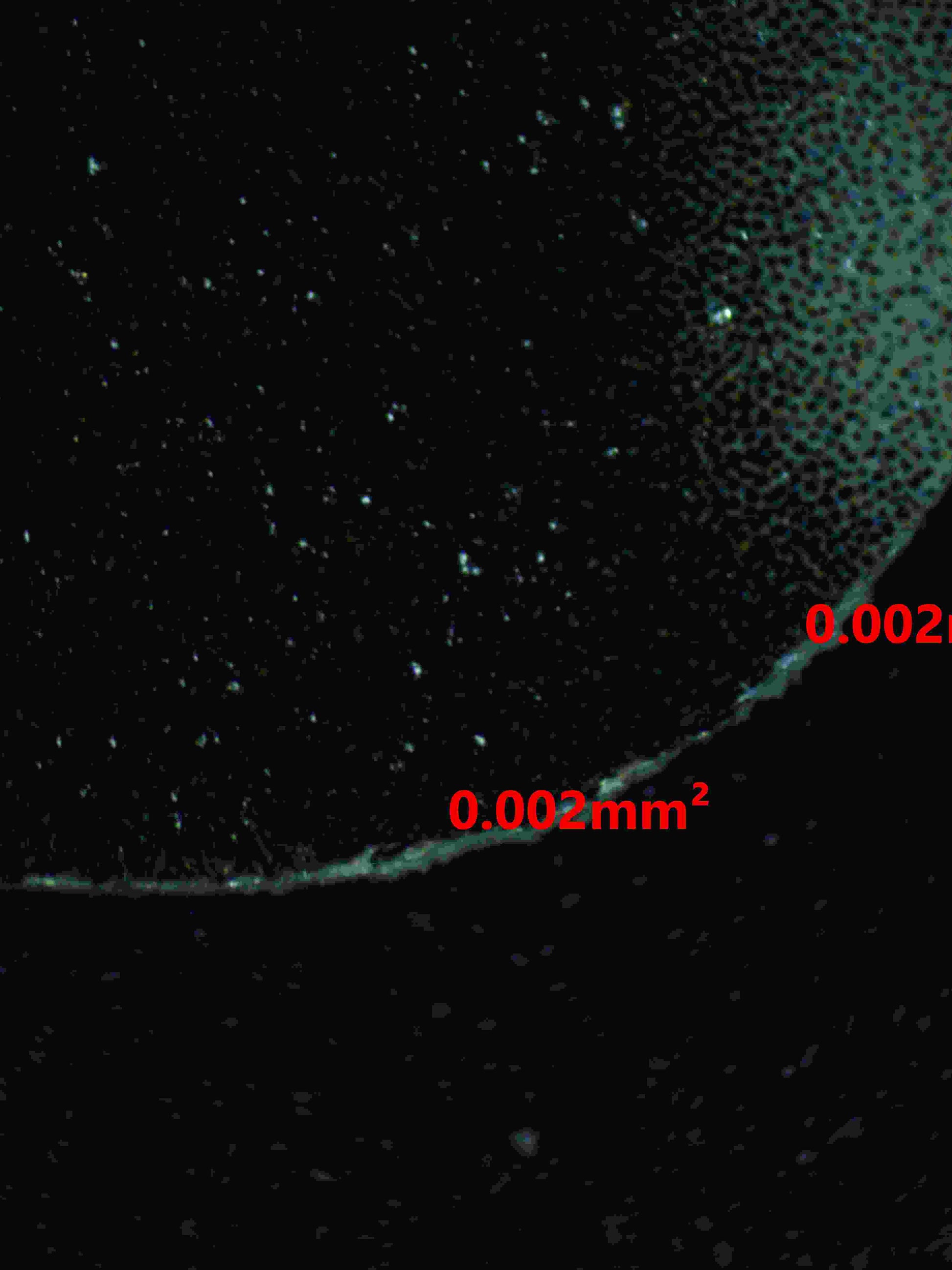 06363 RAIKOU V Grading Card