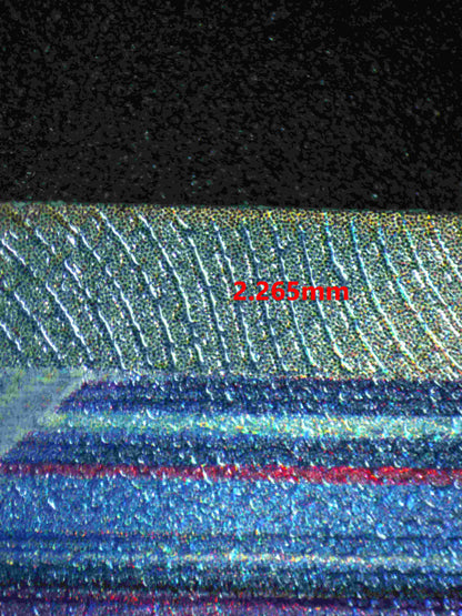 06363 RAIKOU V Grading Card