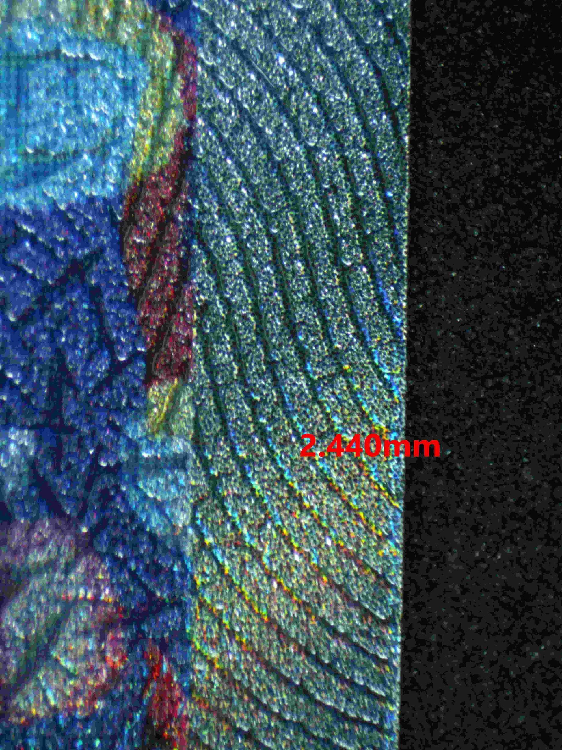 06364 LUMINEON V Grading Card