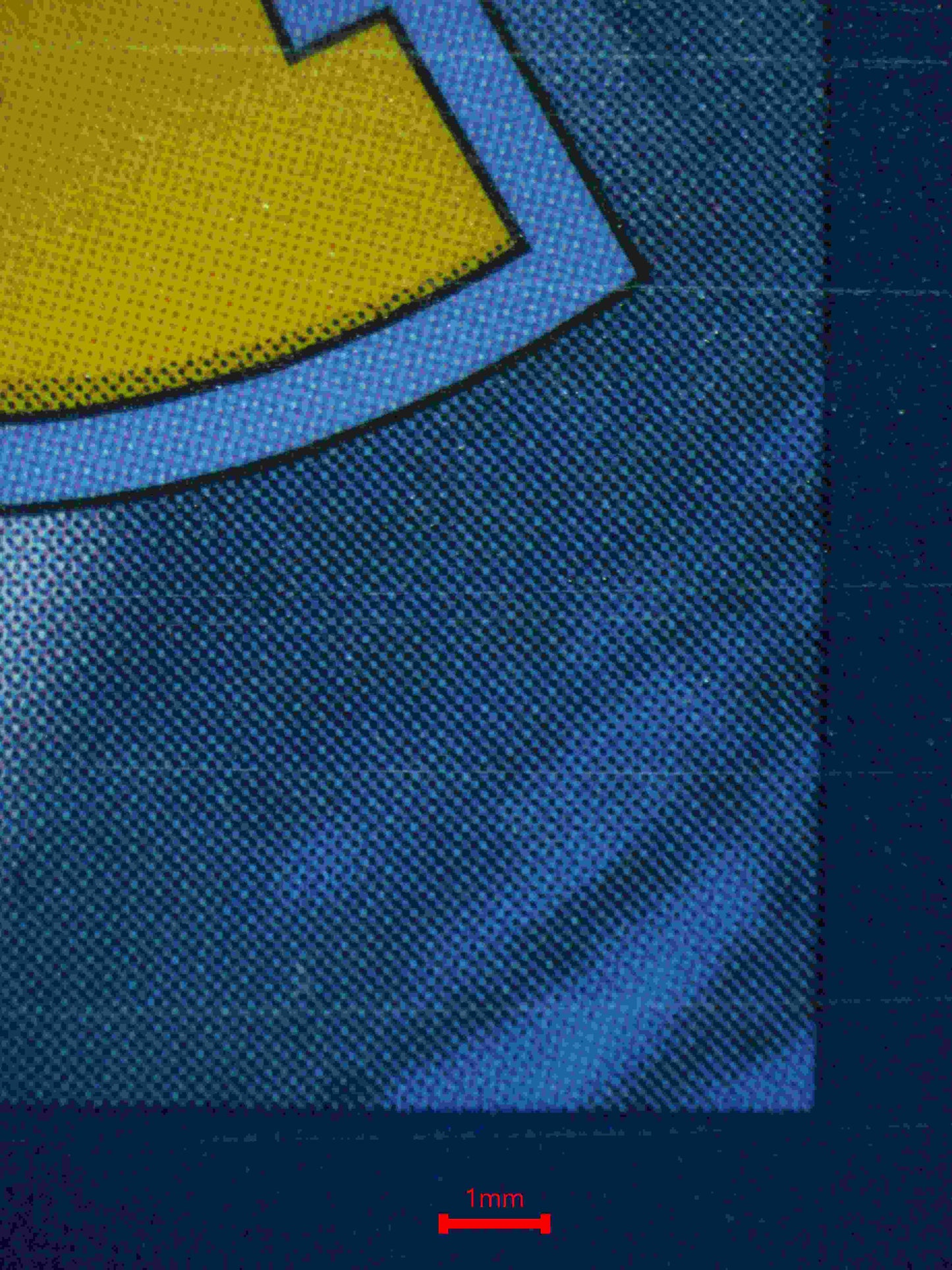 06365 UMBREON EX (SPANISH) Grading Card