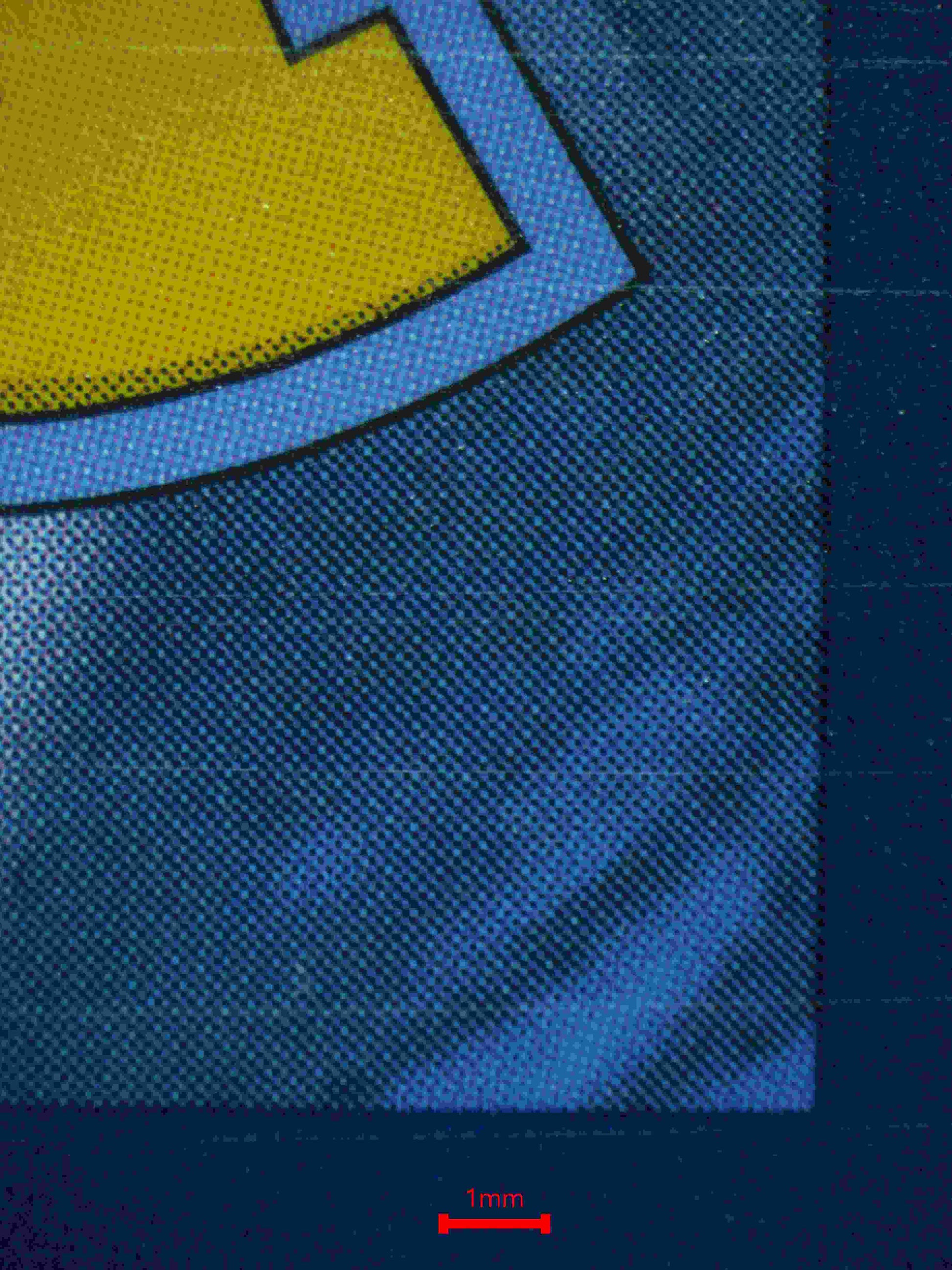 06365 UMBREON EX (SPANISH) Grading Card