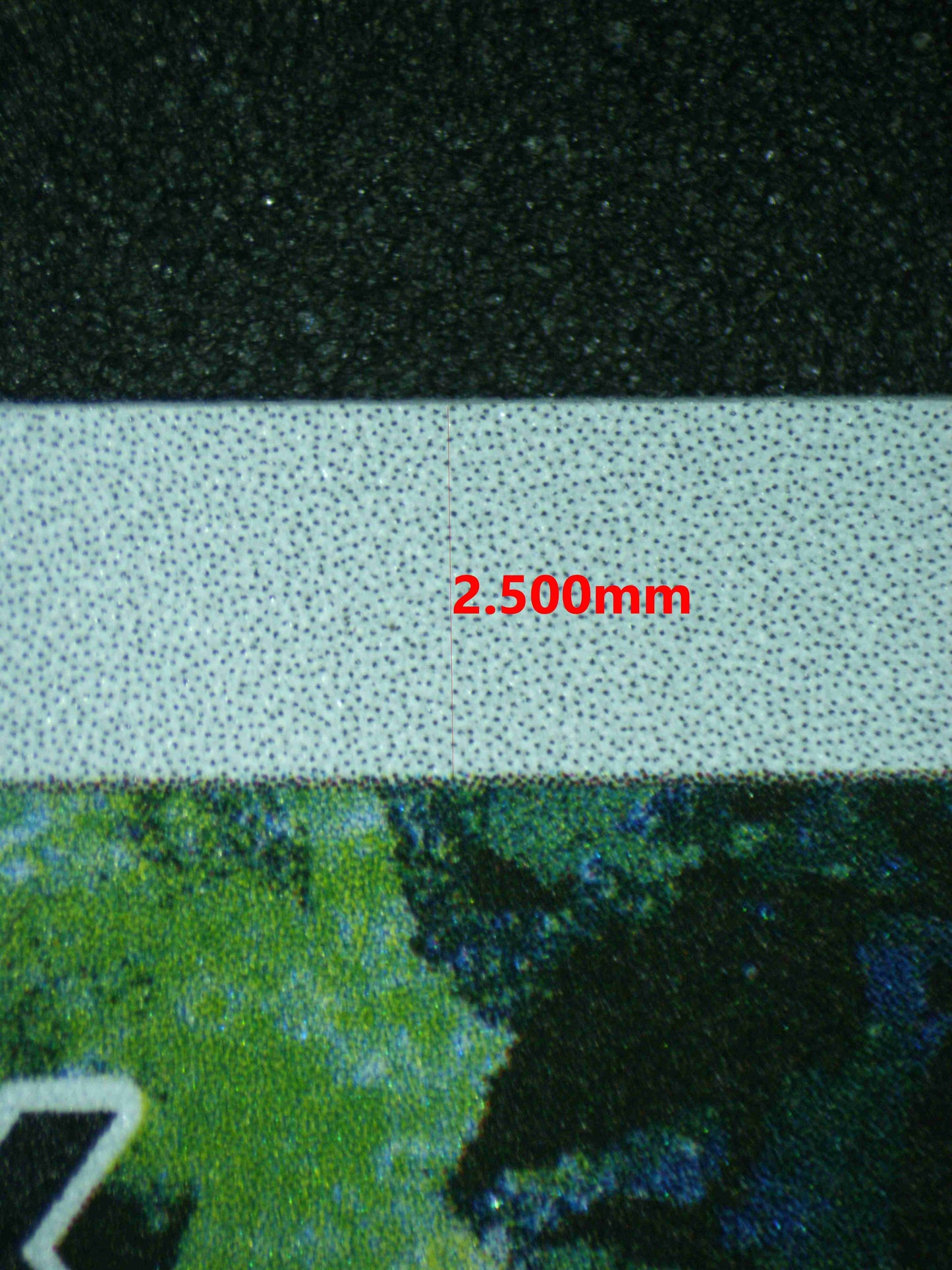 06383 PSYDUCK Grading Card