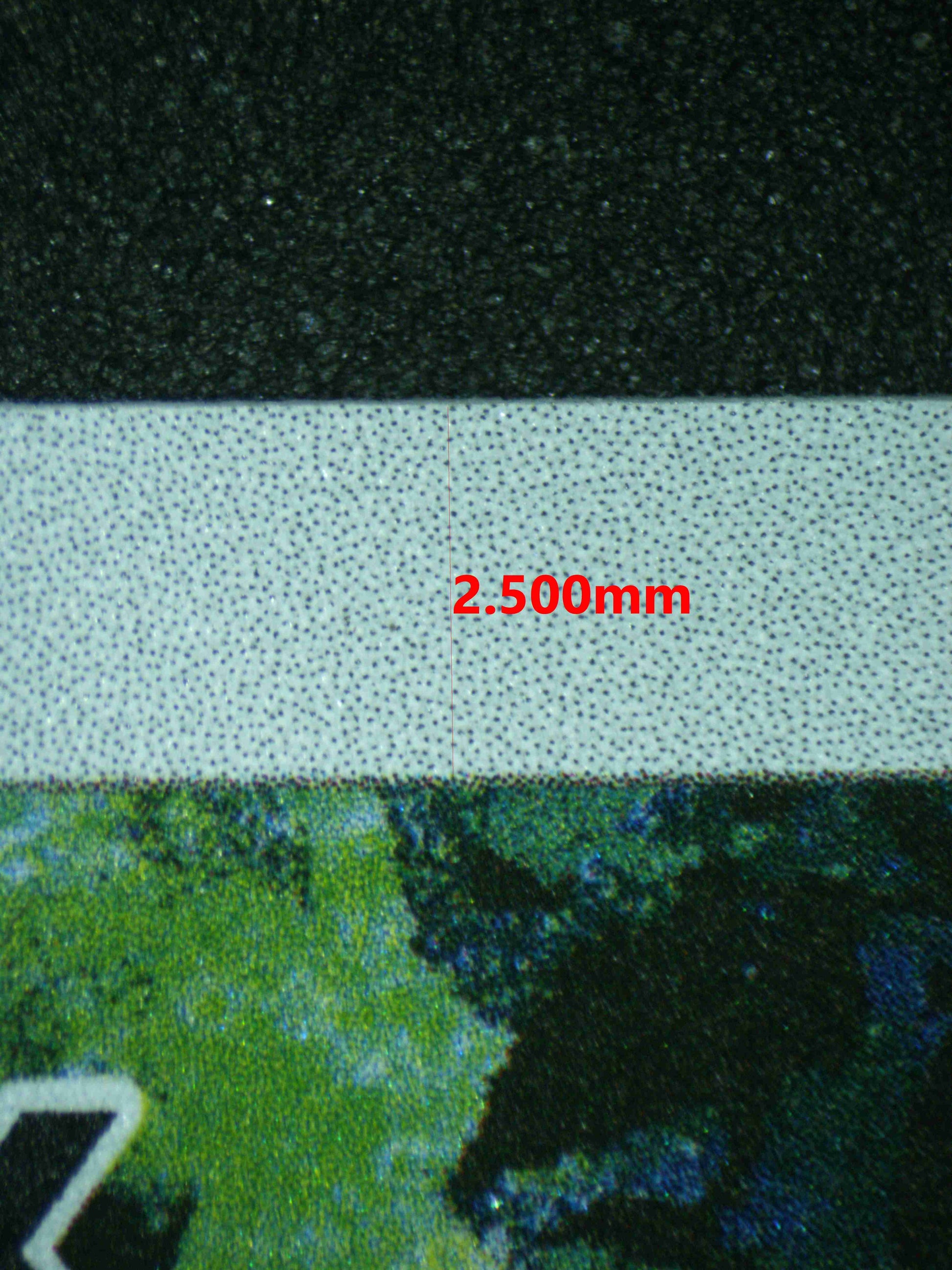 06383 PSYDUCK Grading Card