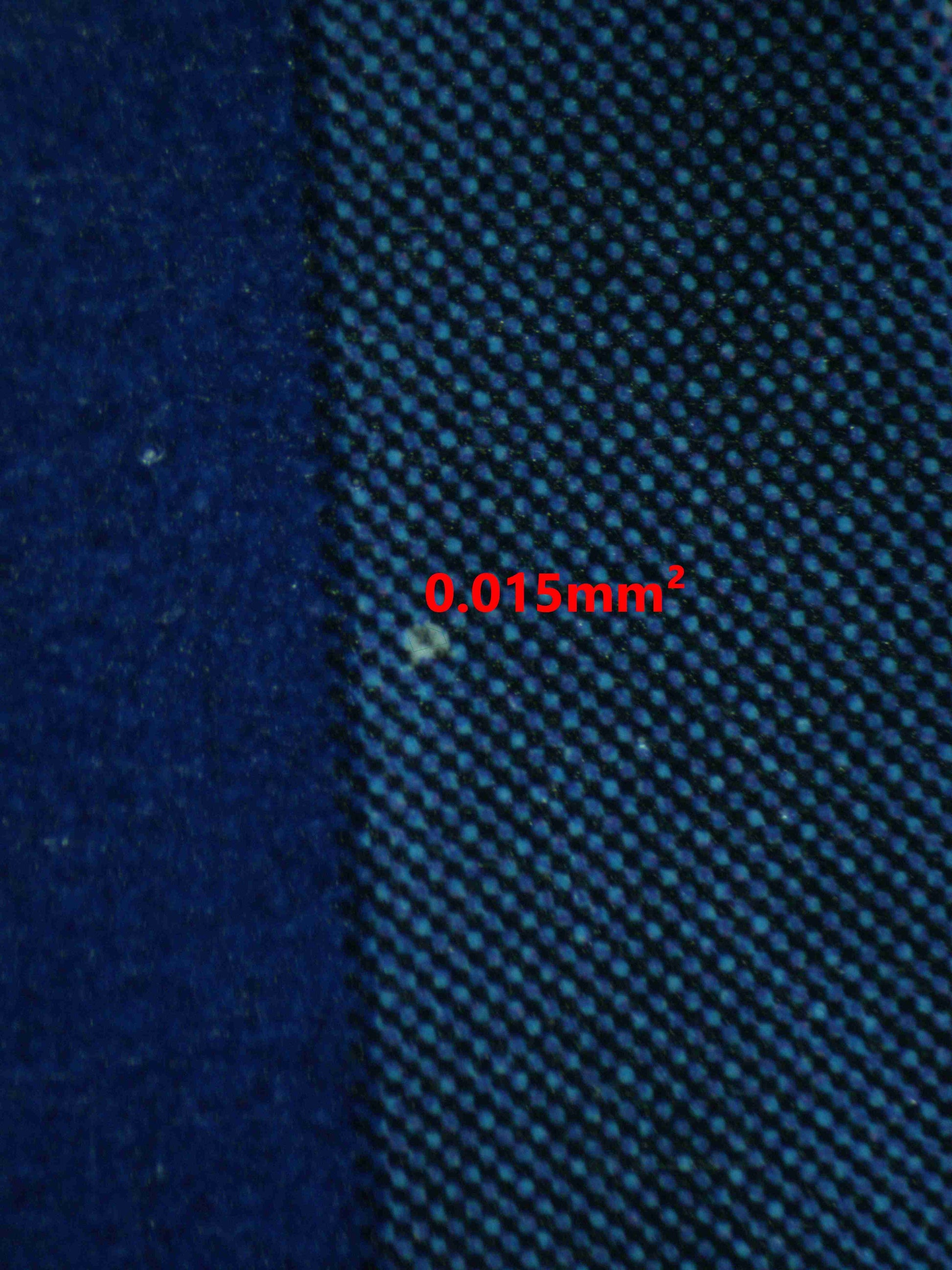 06384 BULBASAUR Grading Card