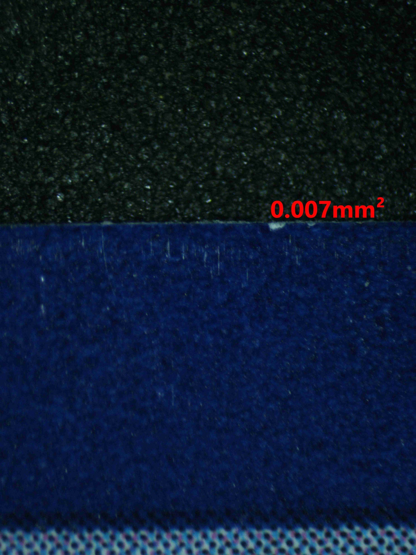 06384 BULBASAUR Grading Card