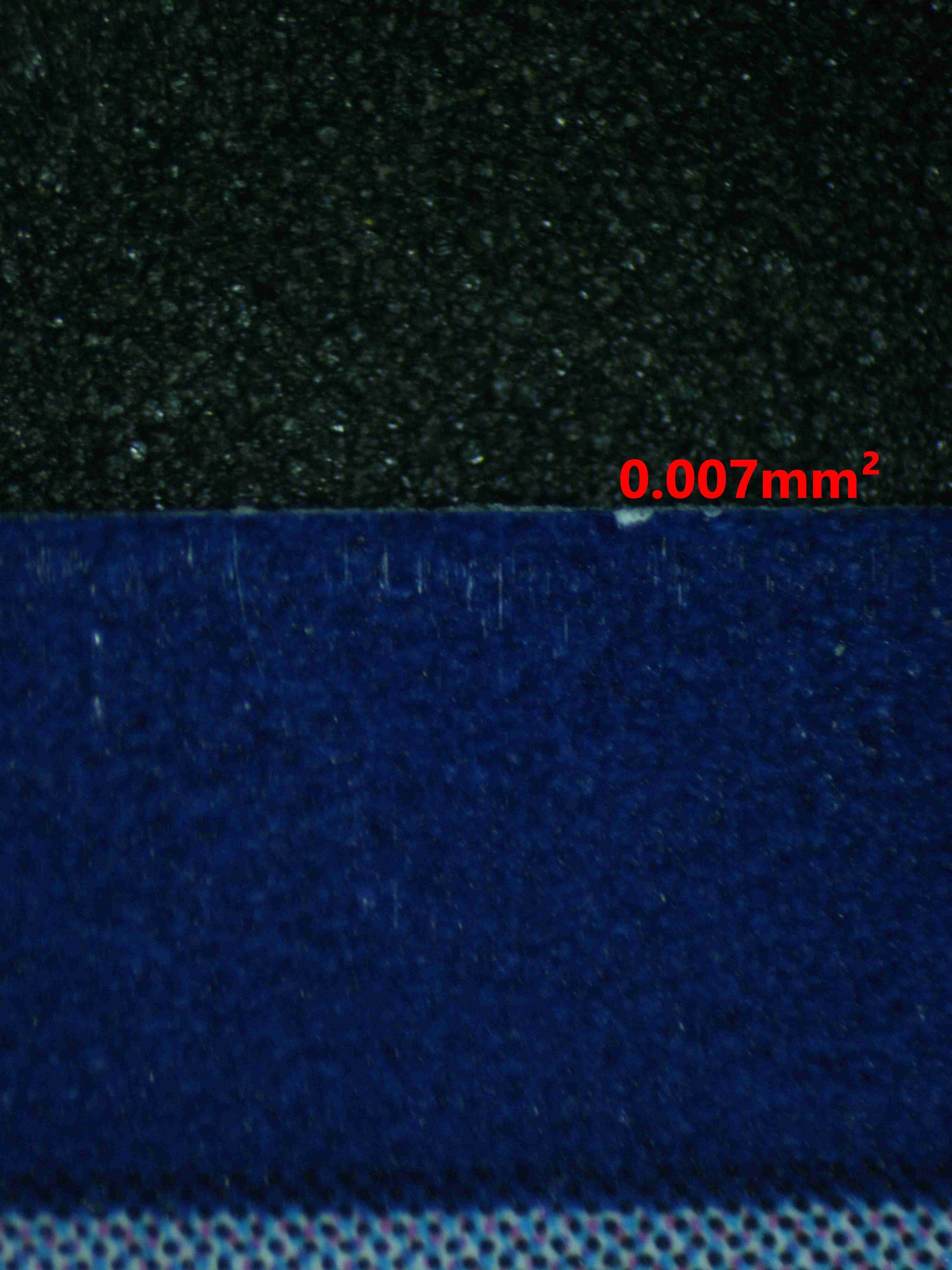 06384 BULBASAUR Grading Card