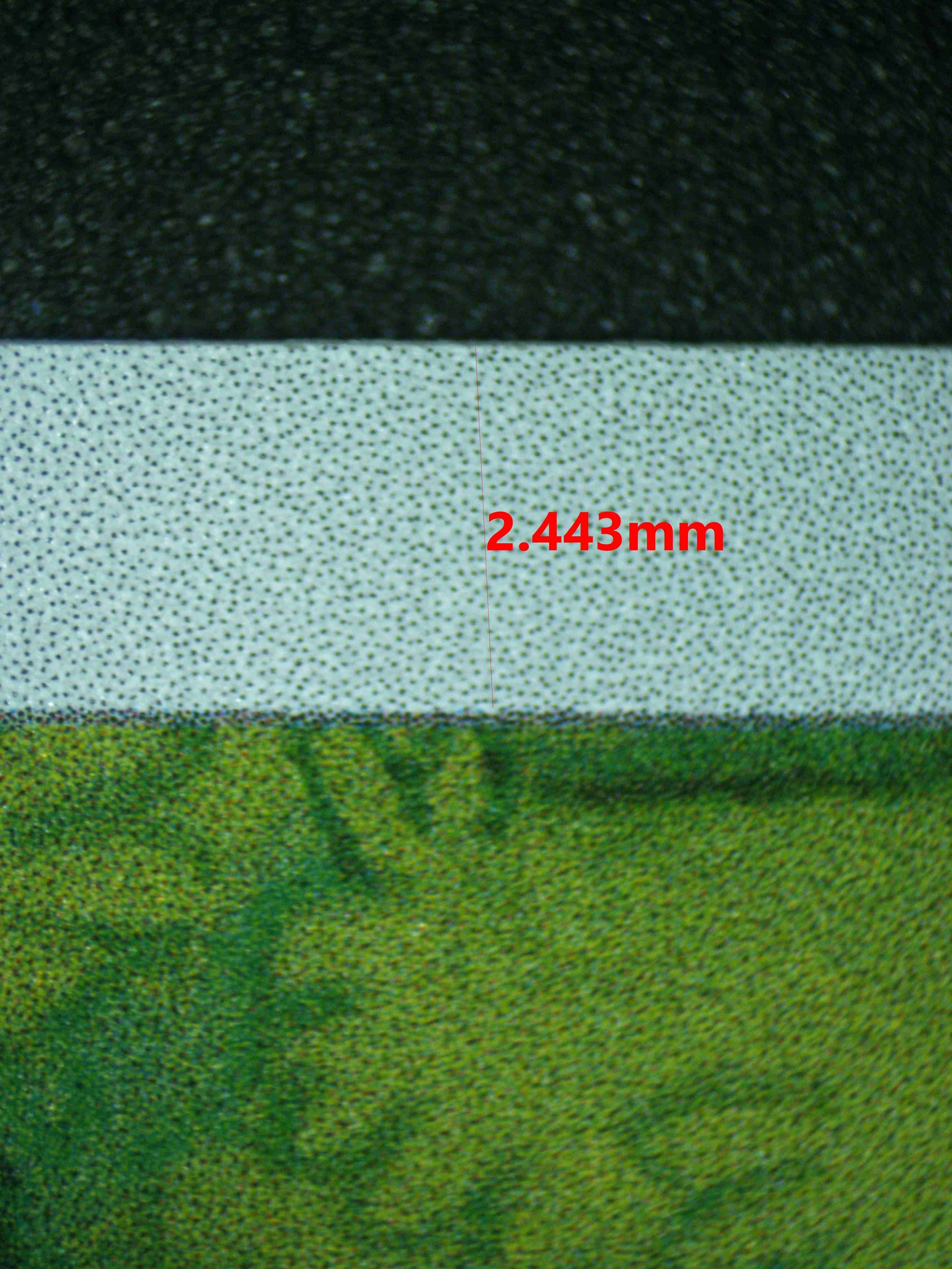 06385 IVYSAUR Grading Card