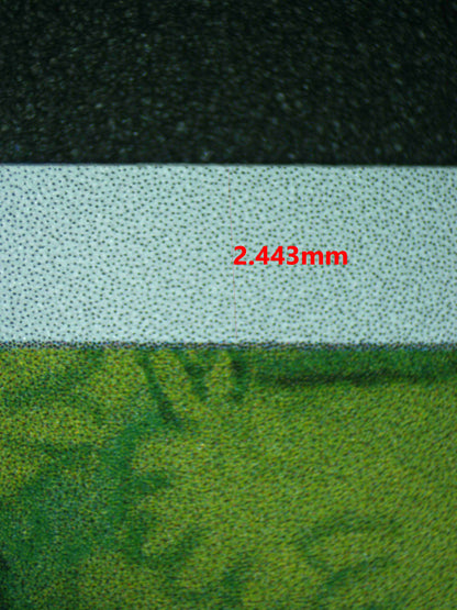 06385 IVYSAUR Grading Card