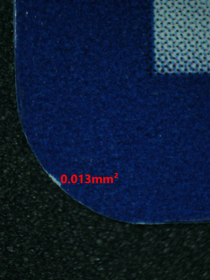 06387 CHARMELEON Grading Card