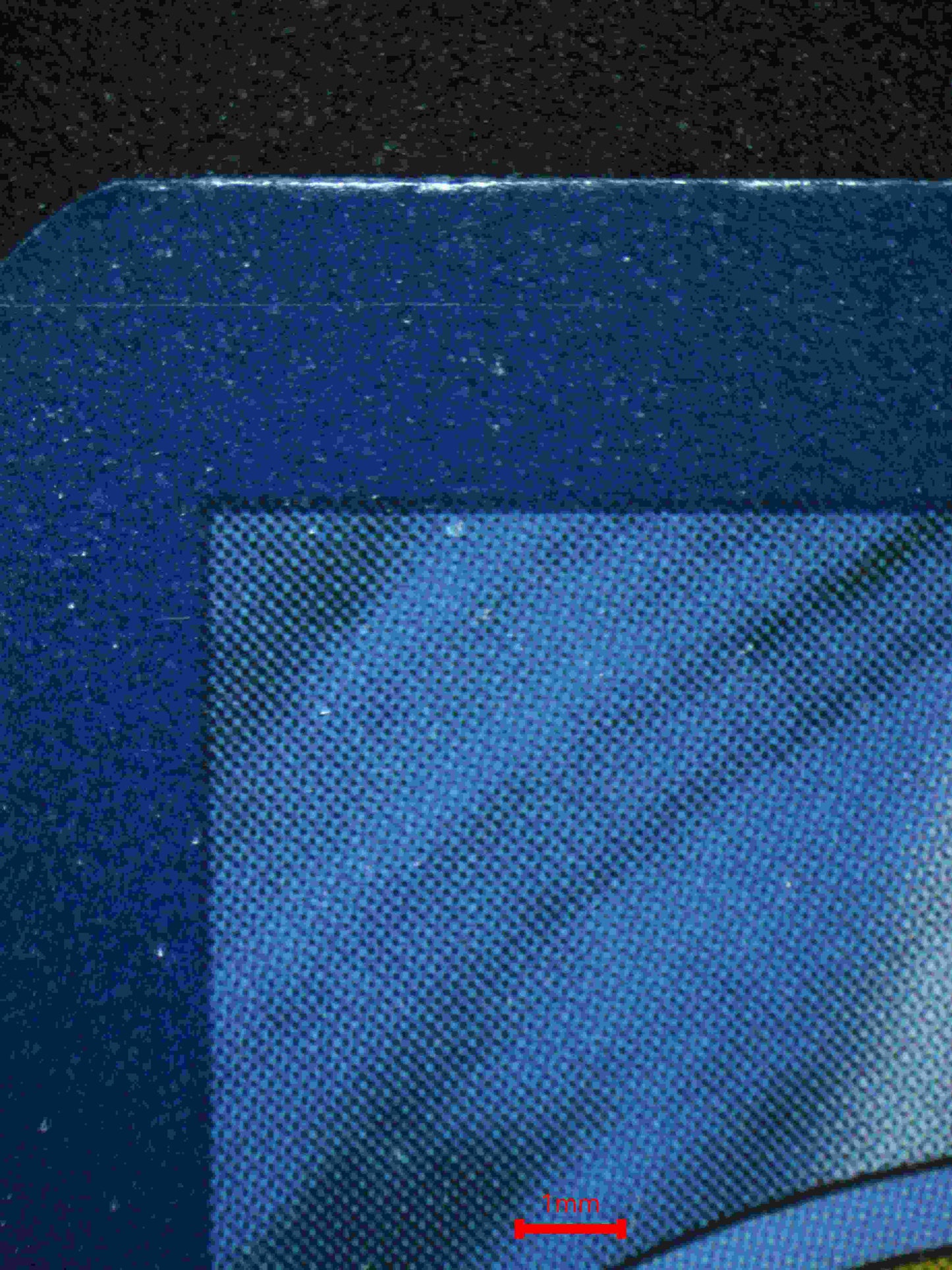 06390 WARTORTLE Grading Card