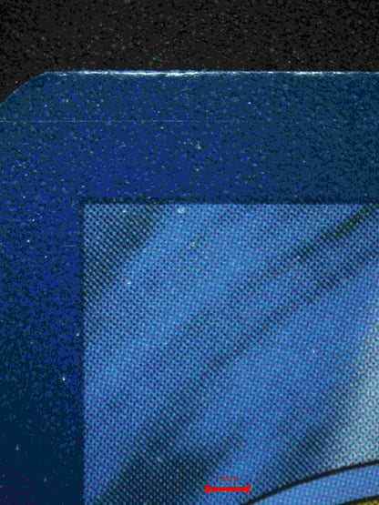 06390 WARTORTLE Grading Card