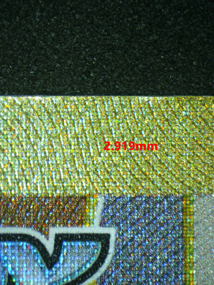 06391 N'S ZOROARK EX Grading Card