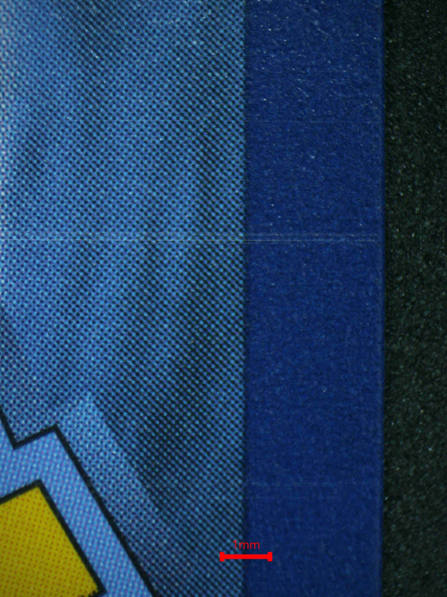 06394 SHIINOTIC Grading Card