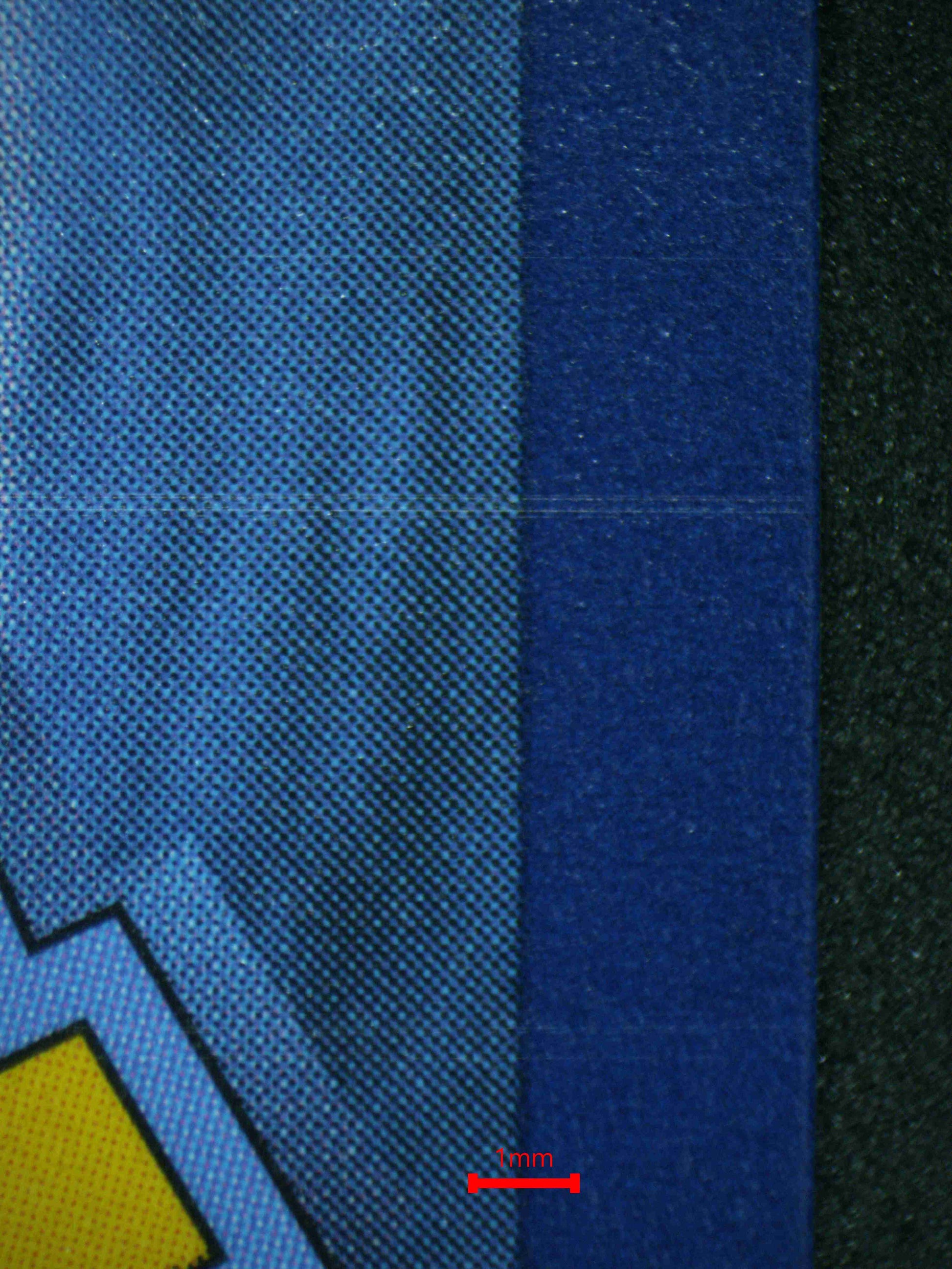 06394 SHIINOTIC Grading Card