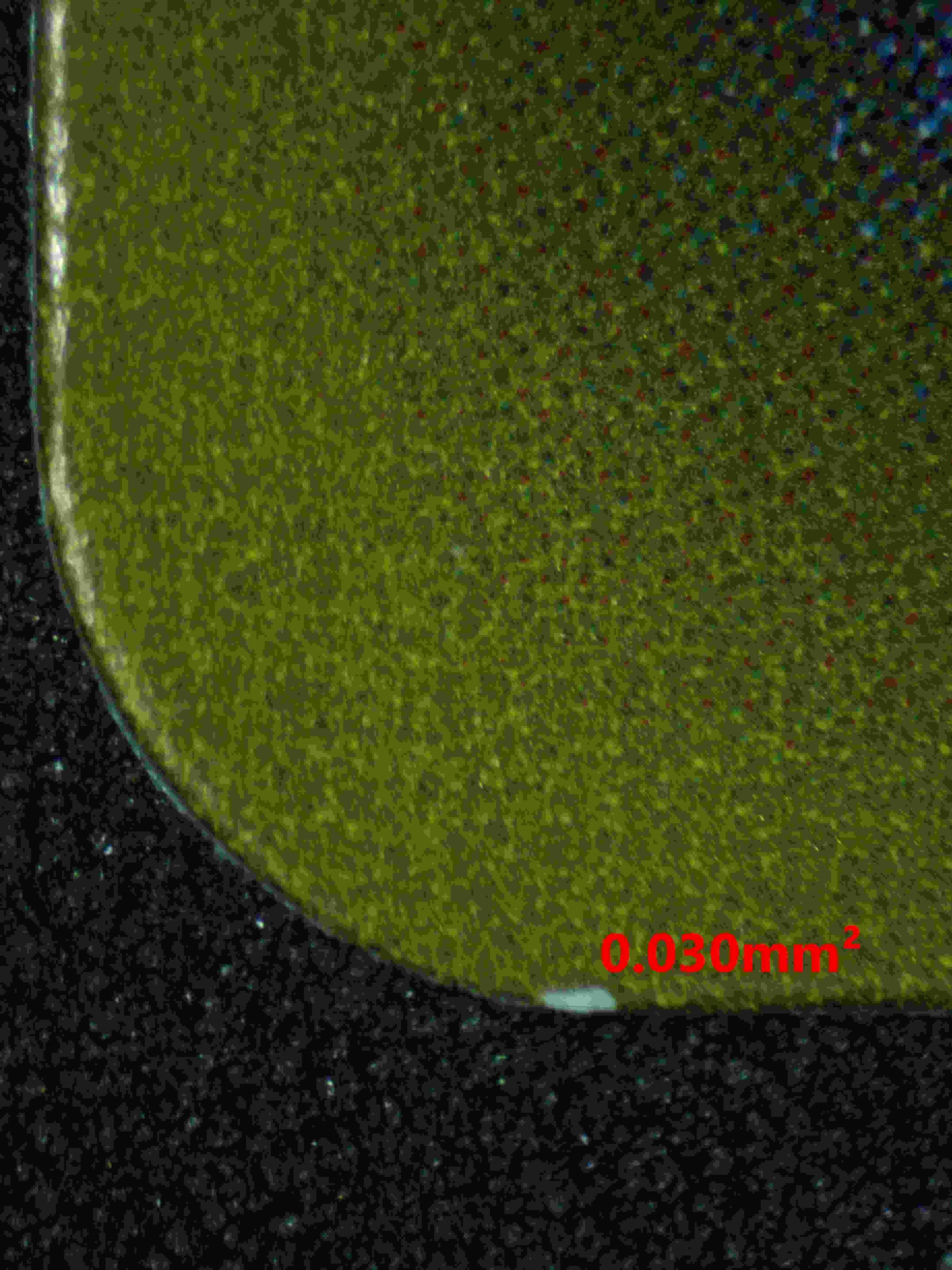 06395 KIRLIA (JAPANESE) Grading Card