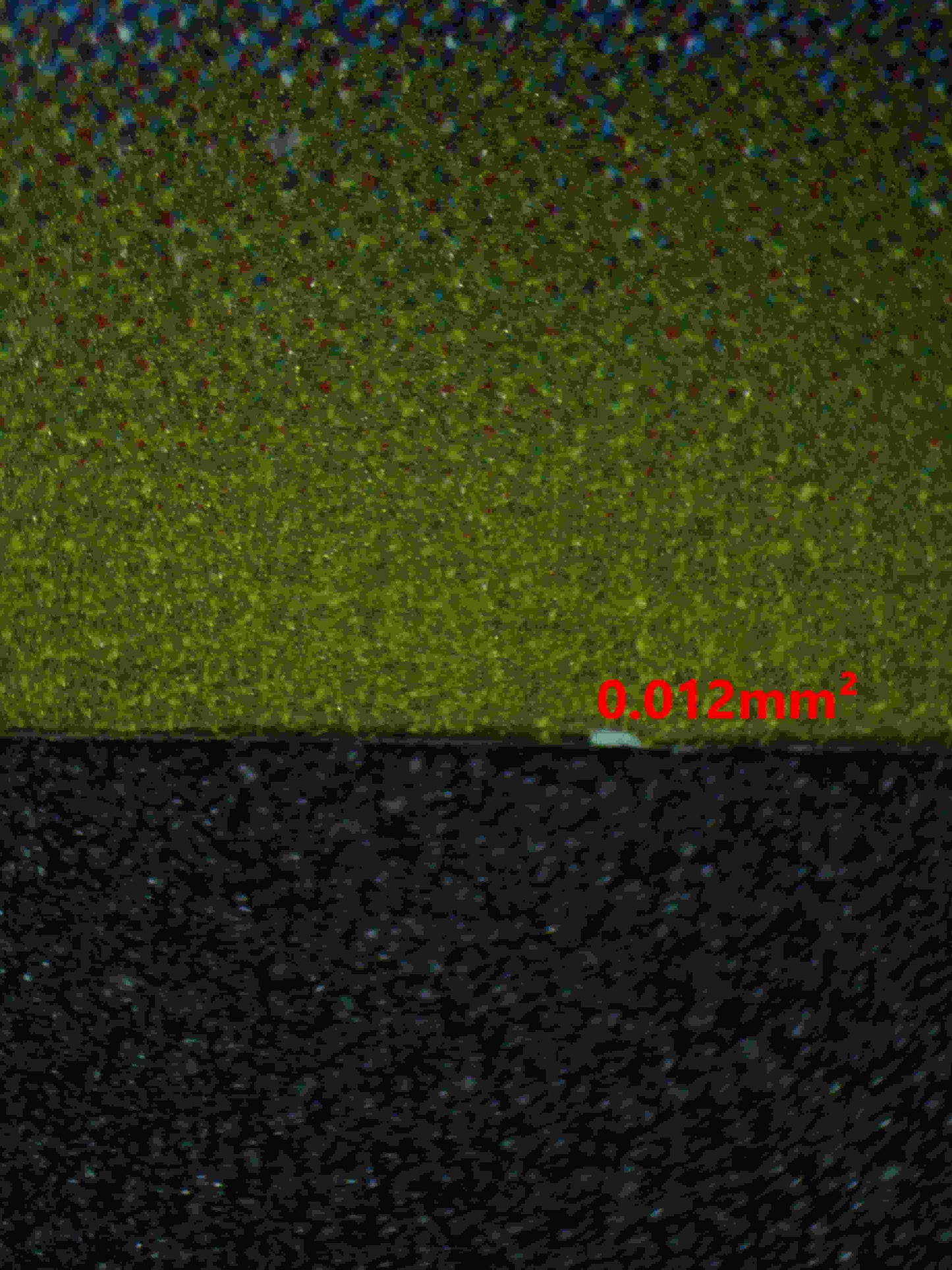 06396 DOLLIV (JAPANESE) Grading Card