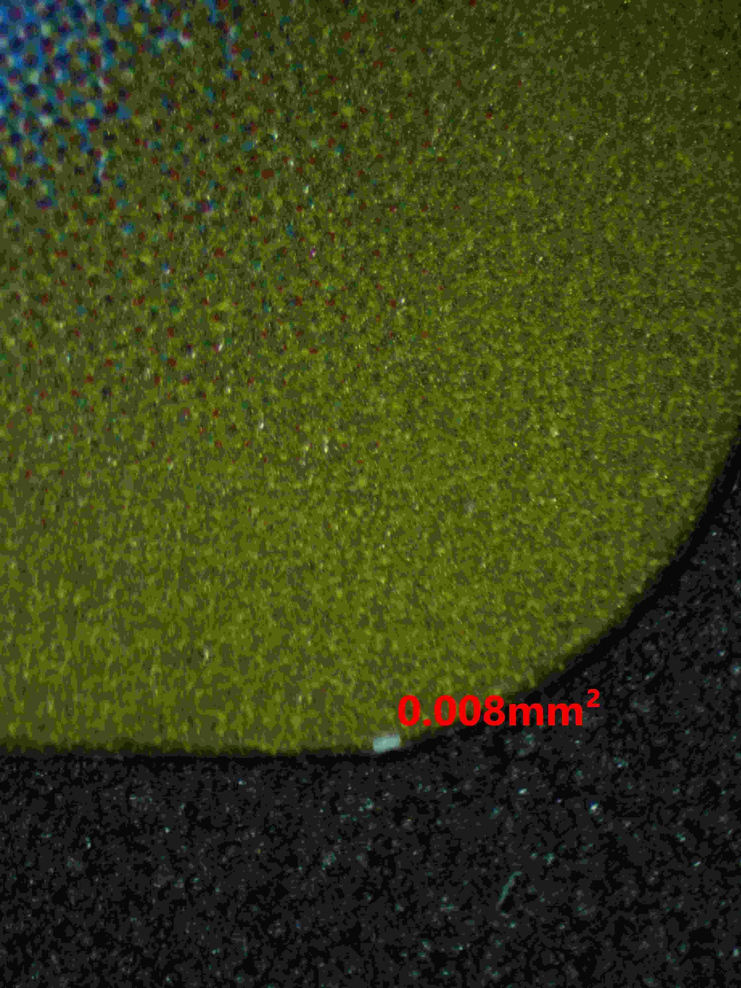 06398 SANDILE (JAPANESE) Grading Card