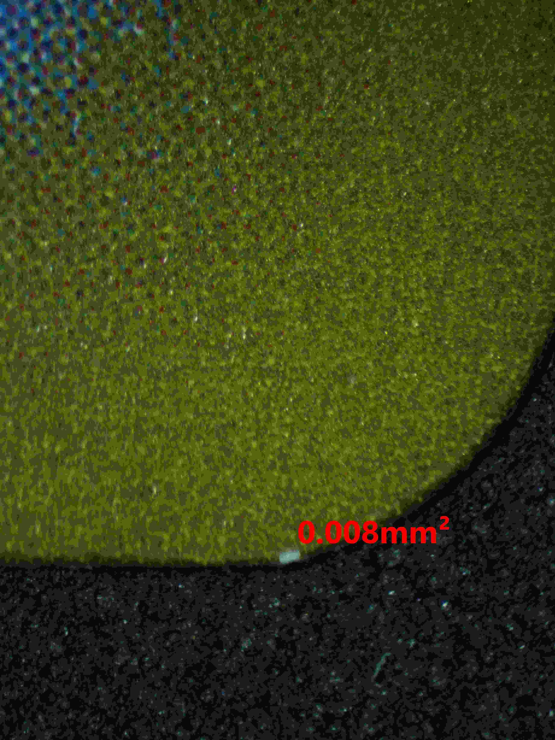 06398 SANDILE (JAPANESE) Grading Card