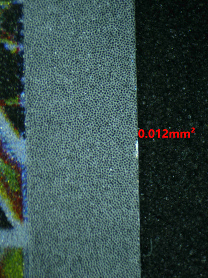 06399 MAGNETON Grading Card