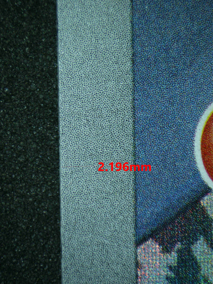 06408 N'S RESHIRAM Grading Card