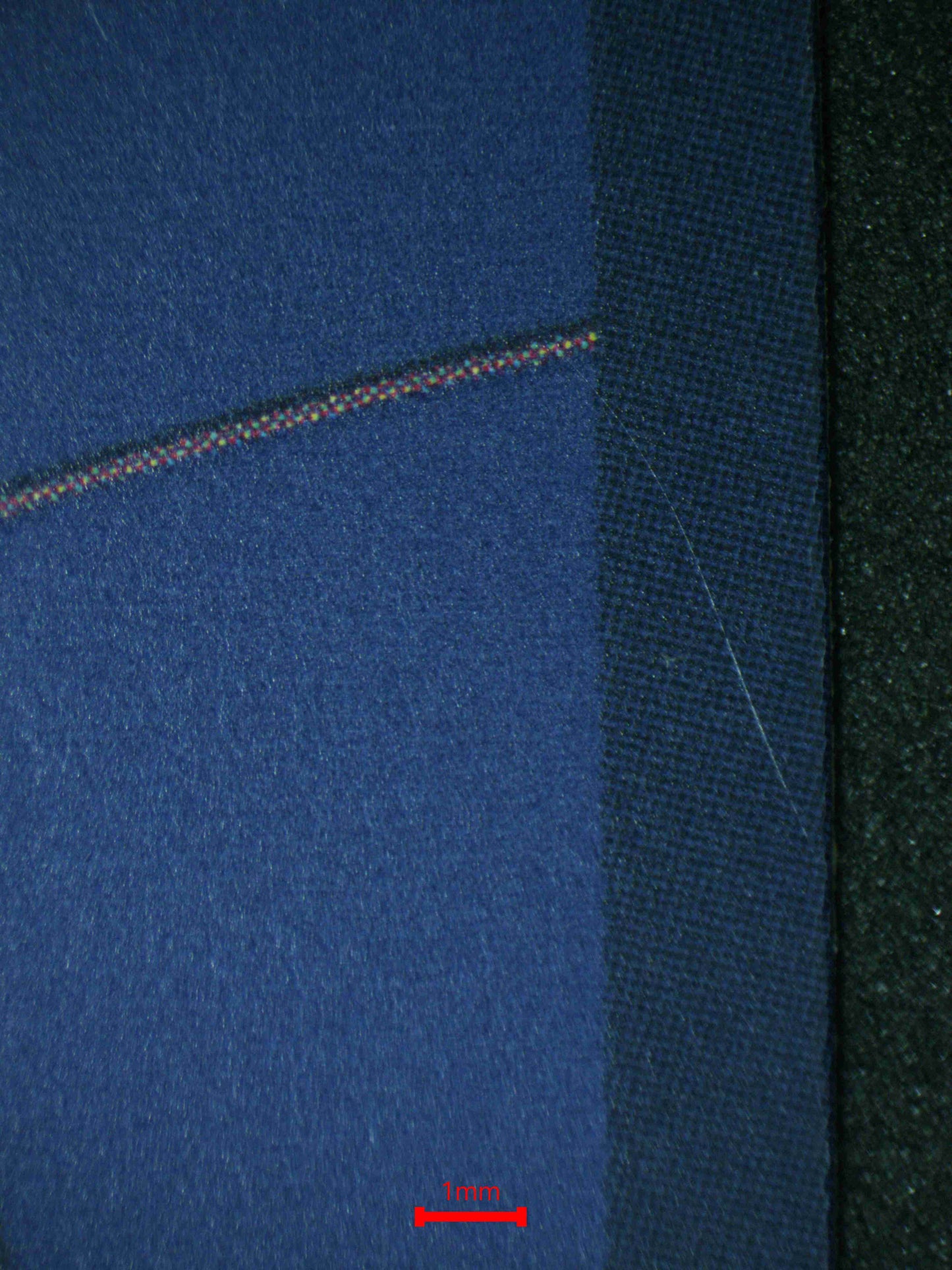 06412 ...I WANT TO LIVE!! Grading Card