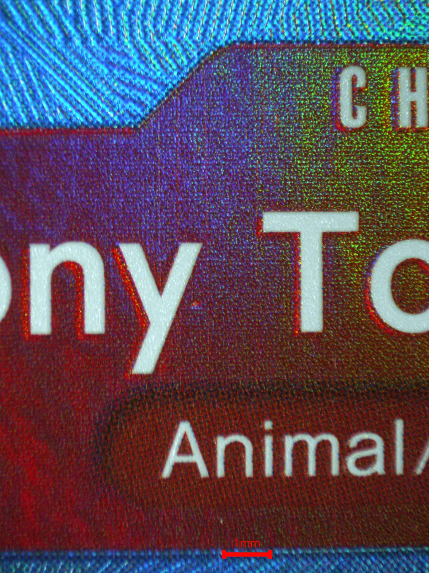 06421 TONY TONY.CHOPPER Grading Card