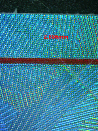 06421 TONY TONY.CHOPPER Grading Card