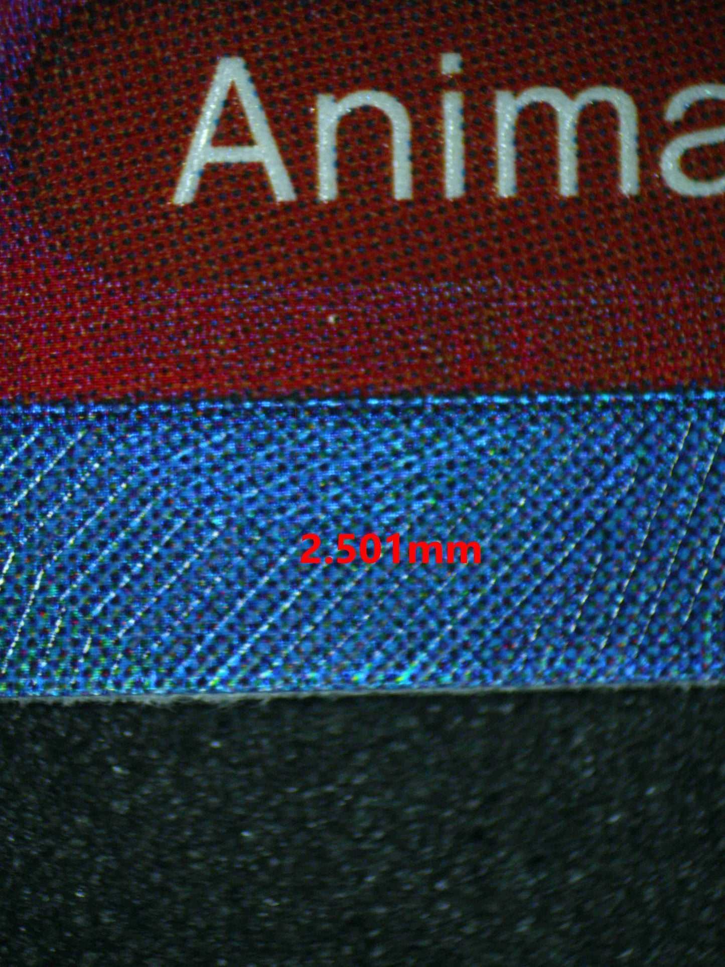 06421 TONY TONY.CHOPPER Grading Card