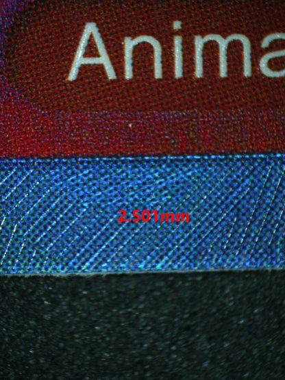 06421 TONY TONY.CHOPPER Grading Card