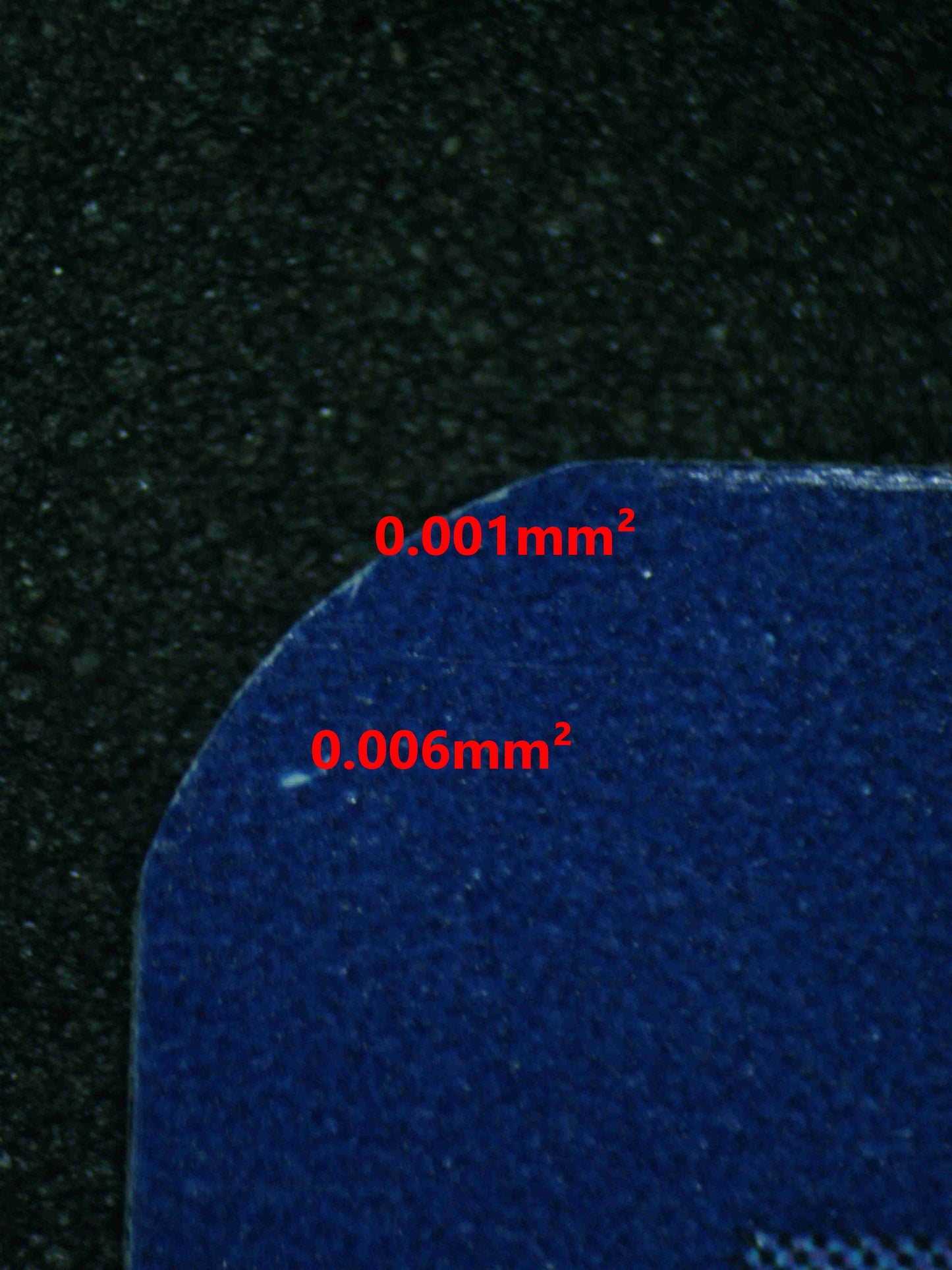 06432 RAICHU Grading Card