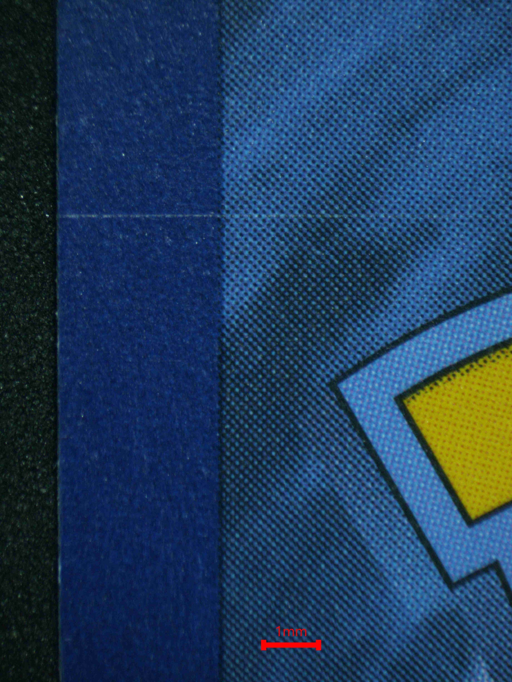 06430 WARTORTLE (JAPANESE) Grading Card