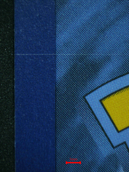 06430 WARTORTLE (JAPANESE) Grading Card